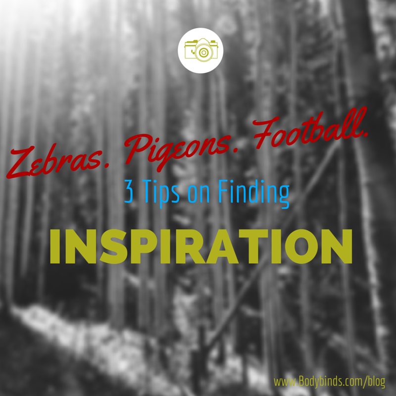 Zebras. Pigeons. Football. 3 Tips on Finding Inspiration
